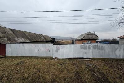 Teren de 3000 mp, în Petricani - 1