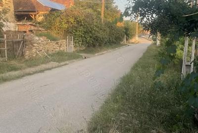 Casă cu 2 camere în Ormeniș - 13