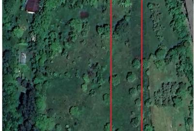 Casă cu 2 camere în Central - 1