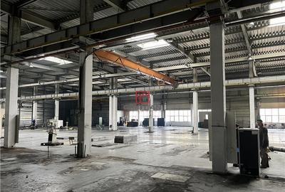 Depozit/hala/spatiu industrial Militari - Timisoara - 3