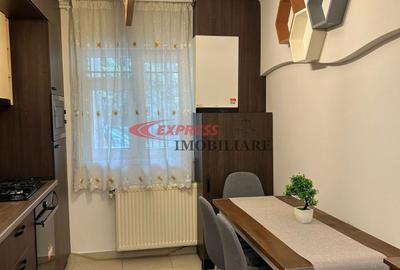 Apartament cu 4 camere semidecomandat, mobilat în Dristor - 10
