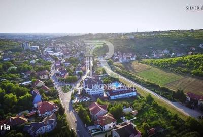 Spațiu comercial, de 2,000 mp, în Podgoria - 18