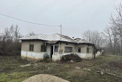 Casă cu 2 camere cu Teren 500 Mp în Cornești - 1