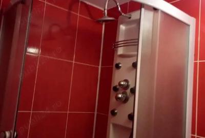 Casă cu 2 camere cu Teren 2000 Mp în Sânmartinu Sârbesc - 6