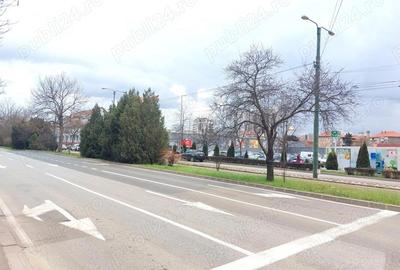 Garsonieră semidecomandată, mobilată în Badea Cârțan - 13