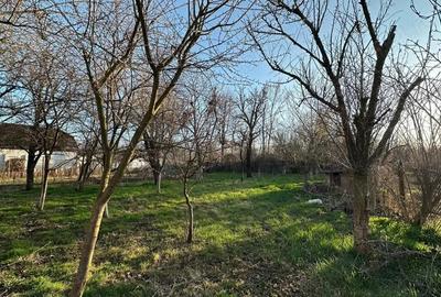 Casă cu Teren 1000 Mp în Livadia - 5