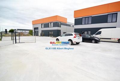 Hala 572 mp Chiajna - 11