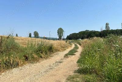 Teren de 4000 mp, în Ciolpani