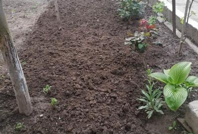 Casă cu 4 camere în Medgidia - 2