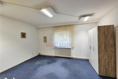 Spațiu comercial, de 170 mp, în Copou