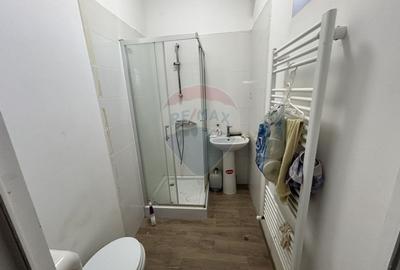 De vanzare Hala 160 m2 in localitatea Lapusel, comuna Recea, Maramures - 26