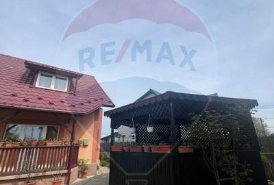De vanzare 2 Corpuri de Casa si Teren 1388 mp in Geamana, Bradu - 16