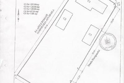Braila, Str. Castanului - 3767 mp - 5