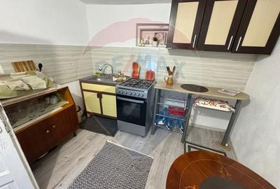 Casa / Vila cu 7 camere de vanzare in zona Central - 21