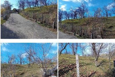 Teren de 2894 mp, în Vistieru - 8