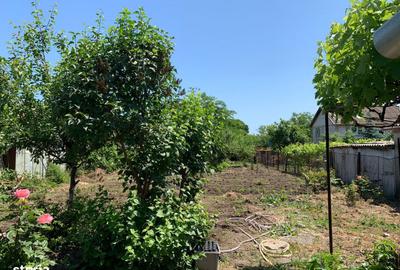 Casă cu 4 camere cu Teren 1592 Mp în Techirghiol - 3