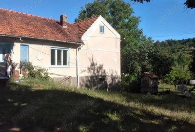 Casa 4 camere-teren 22000 mp-com. Armeni?( 26 Km de Caransebe?) - 1