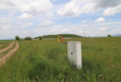 Teren  intravilan13100 mp pentru dezvoltare imobiliara - 1