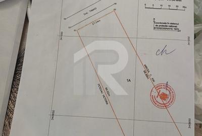 Teren Construcții intravilan de 1250 mp, în Buftea - 6