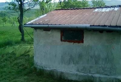 Proprietate la Munte. Casuta 11 MP., Teren 1400 MP, Drum Asfalt 20 KM de Herculane - 1