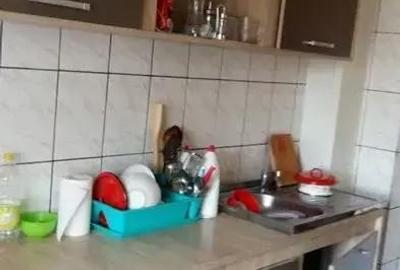 Garsonieră decomandată în Banat - 1