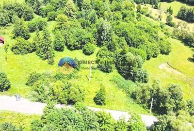 TEREN Izvoru Muntelui, langa orasul BICAZ - 6