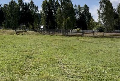 Spațiu comercial, în Șaru Dornei - 6