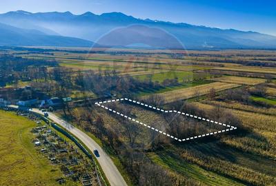 Teren Construcții intravilan de 4200 mp, în Dejani - 2