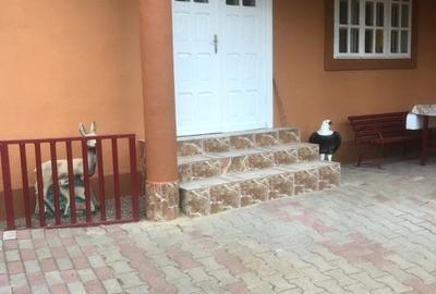 Casa/Vila Soveja, 6 camere, 430MP, 5-6 locuri de parcare (Renovata in 2023)