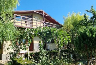 Casa de vacanta / Vila de vanzare Lilieci, Ialomita - 4
