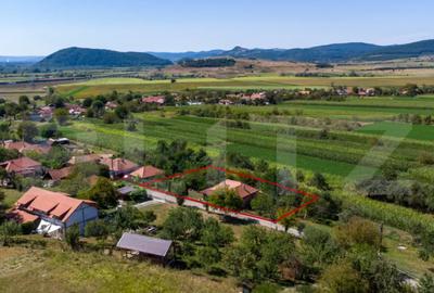 Casă cu 3 camere cu Teren 4000 Mp în Rovina (Brănișca) - 1