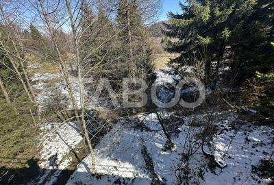 Teren extravilan 4600 mp cu acces la rau Satul de Vacanta Dejani - 5