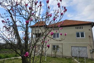 Case de vanzare Sinesti - 4