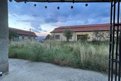 Casă individuală cu 4 camere cu Teren 2514 Mp în Bucoșnița - 11