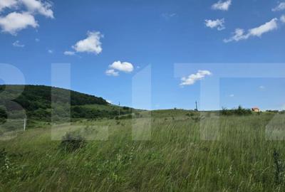 Teren de investitie in localitatea Ciurila - 1