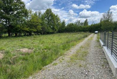 Spațiu comercial, în Ocna Șugatag - 3