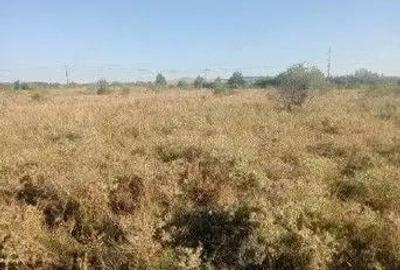 Targu Neamt, Punct Manesti, cota parte 1/2, ID: R2759107 - 6