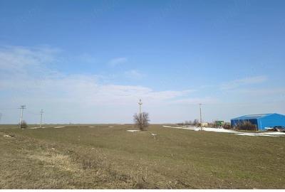 Teren de 10000 mp, în Nord - 3