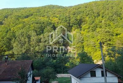 Teren intravilan 1240 mp | UTILITATI | Fa?a Pietrii | aproape Transapuseana | - 1