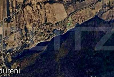 Teren de 11597 mp, în Pădureni (Chinteni) - 1