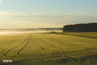 Teren de 82900 mp, în Central