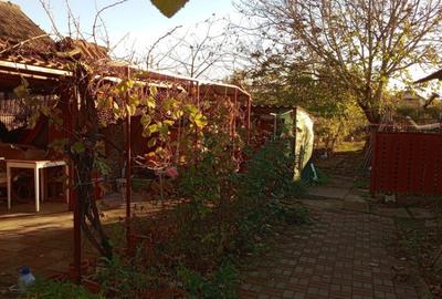 Casa in Craciunelu de Jos str. 6 Martie - 3