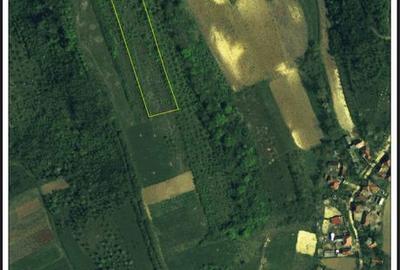 Spațiu comercial, în Lupoaia - 1