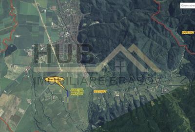 COMISION 0% | Teren de Vanzare Glajarie Rasnov | 4.500mp Extravilan - 1