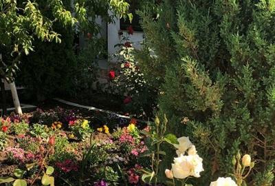 Vila - parter + mansarda -   Sendreni,  jud. Galati - 6