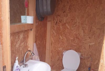 Casa batraneasca , foisor si teren de vanzare - 15