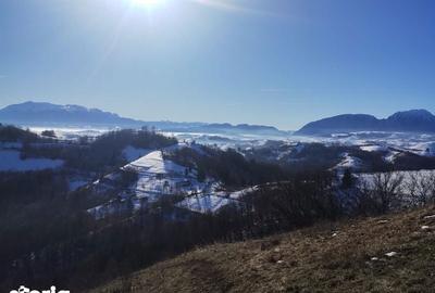 Teren de 7770 mp, în Holbav - 2