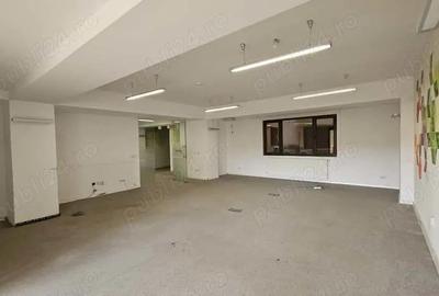 Grozavesti, Splaiul Independentei, spatiu comercial - 2