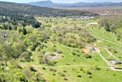 Teren Intravilan parcele 1000mp - 15