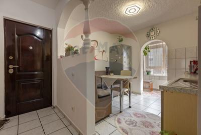Apartament doua camere Vitrometan Medias - 6